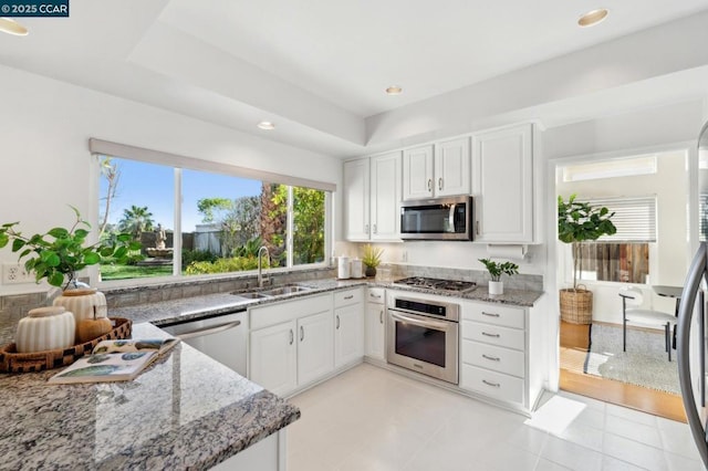 kitchen featuring sink, a raised ceiling, stainless steel appliances, light stone countertops, and white cabinets