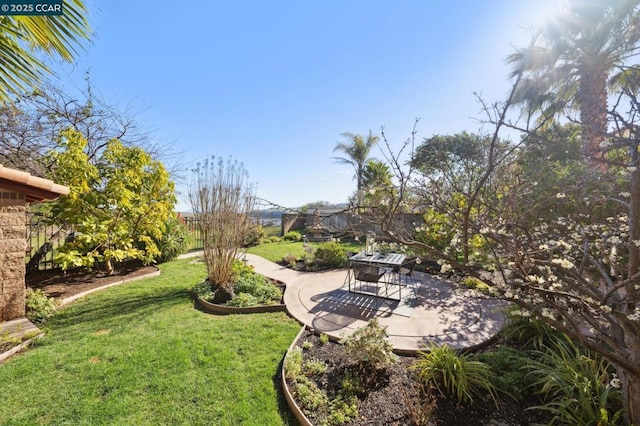 view of yard featuring a patio area