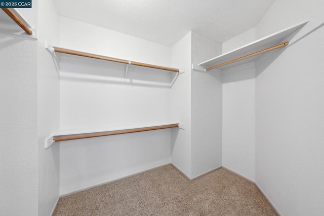 walk in closet with carpet