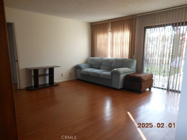 living room with hardwood / wood-style flooring, a healthy amount of sunlight, and a textured ceiling