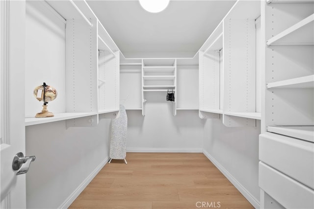 walk in closet featuring wood-type flooring