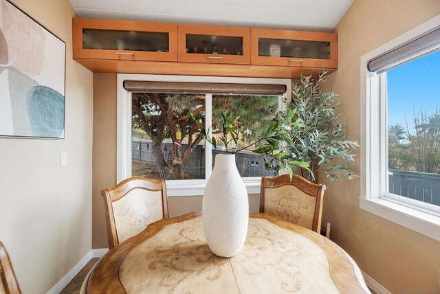 dining area featuring a wealth of natural light