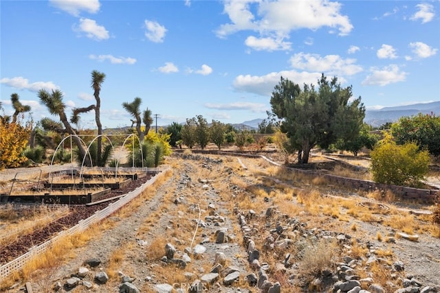 exterior space featuring a mountain view and a rural view