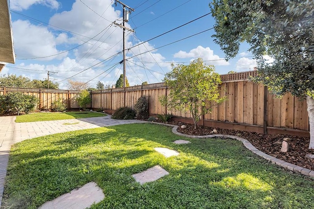 view of yard featuring a patio