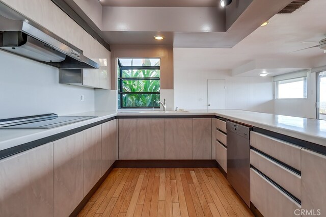 kitchen featuring sink, dishwasher, black electric stovetop, light hardwood / wood-style floors, and exhaust hood