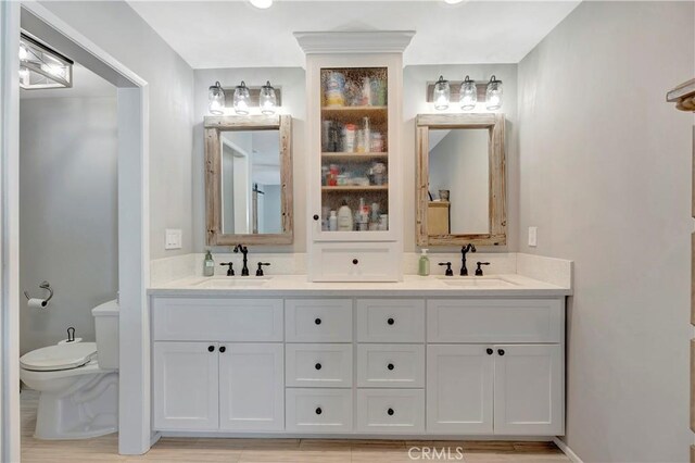 bathroom with vanity, wood-type flooring, and toilet