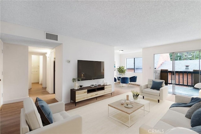 living room featuring hardwood / wood-style flooring and a textured ceiling