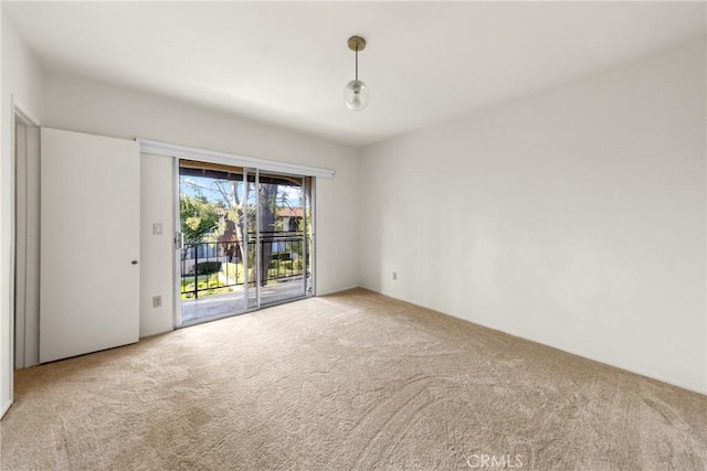 unfurnished room with carpet flooring