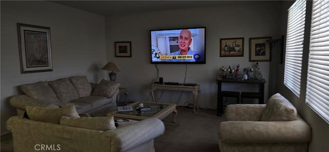 living room with carpet floors