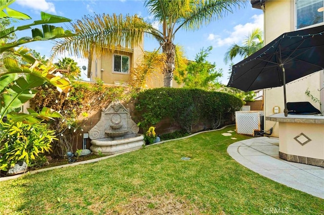 view of yard featuring a patio