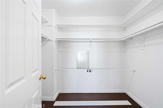 walk in closet featuring dark hardwood / wood-style flooring