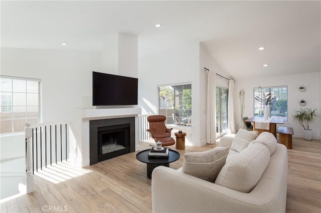 living room with light hardwood / wood-style flooring, a healthy amount of sunlight, and vaulted ceiling