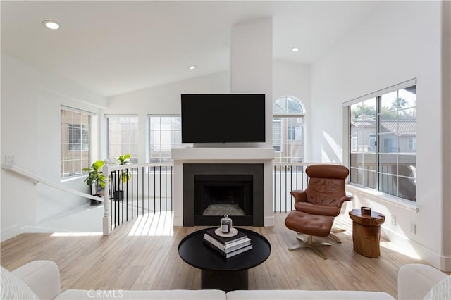 living room with lofted ceiling and light wood-type flooring