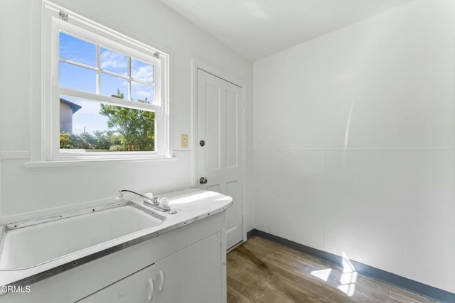 interior space featuring a sink and wood finished floors