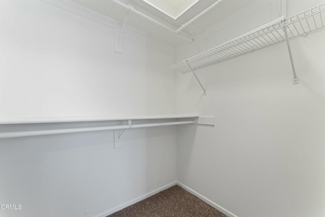 spacious closet featuring carpet