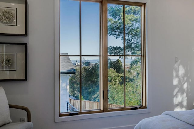 bedroom with multiple windows