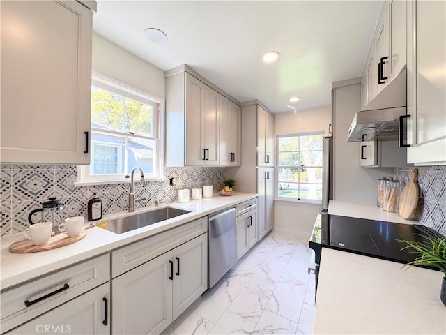 kitchen featuring a healthy amount of sunlight, sink, exhaust hood, and dishwasher