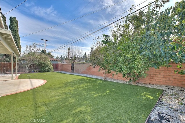 view of yard featuring a patio area