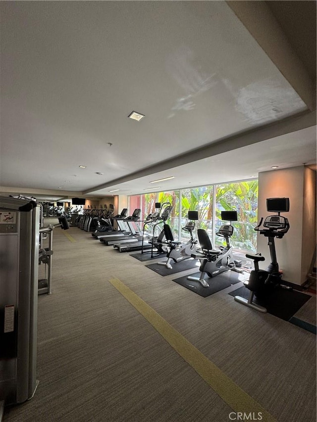 workout area featuring carpet floors, a healthy amount of sunlight, and visible vents
