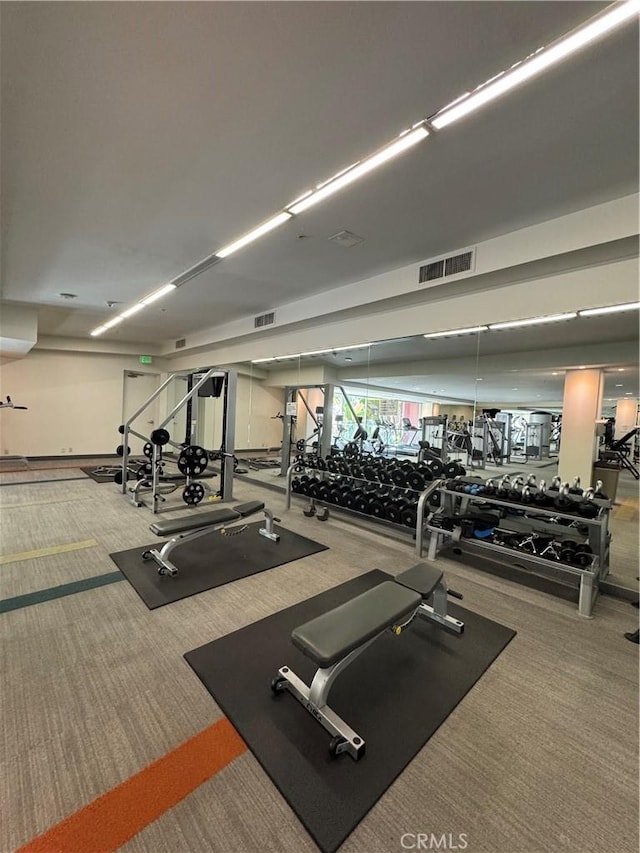 exercise room featuring carpet flooring