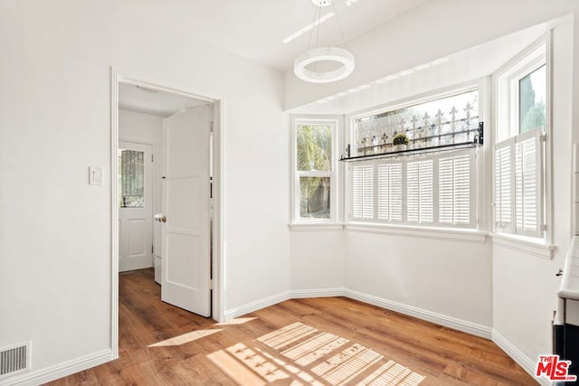 interior space with wood-type flooring