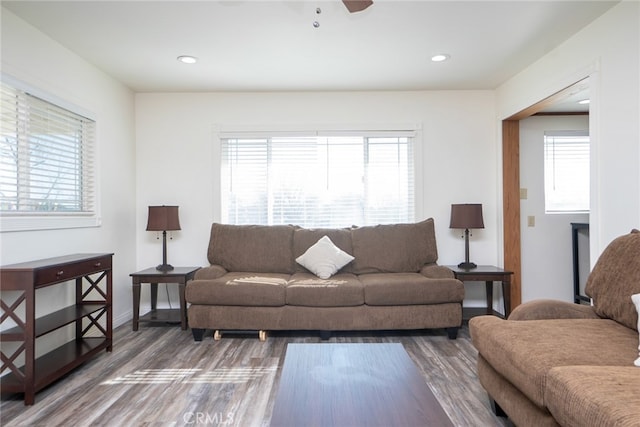 living room featuring ceiling fan, plenty of natural light, and dark hardwood / wood-style floors