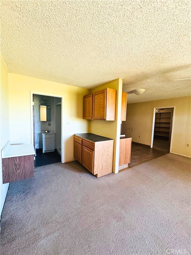 kitchen with a textured ceiling and carpet