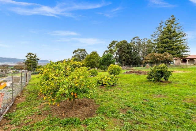 view of yard featuring a mountain view and a rural view