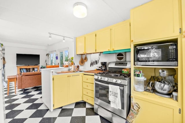 kitchen with track lighting, stainless steel range with gas stovetop, and sink