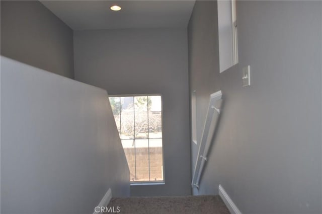 stairs with carpet floors