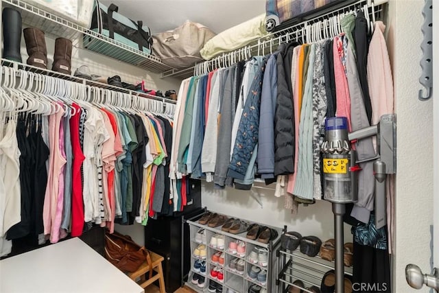 view of spacious closet