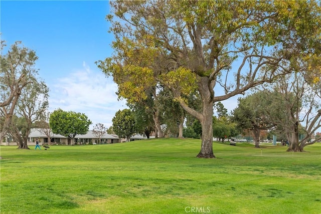 view of home's community with a yard