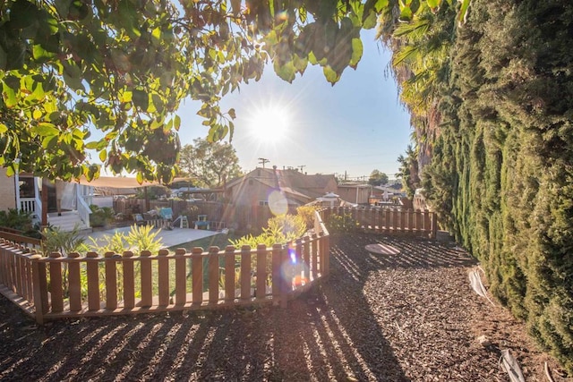 view of yard featuring a patio