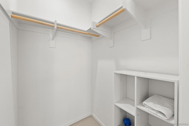 walk in closet with light carpet