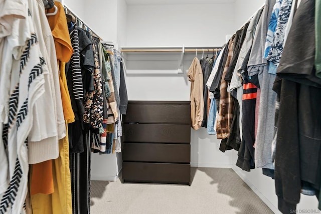 spacious closet with light colored carpet