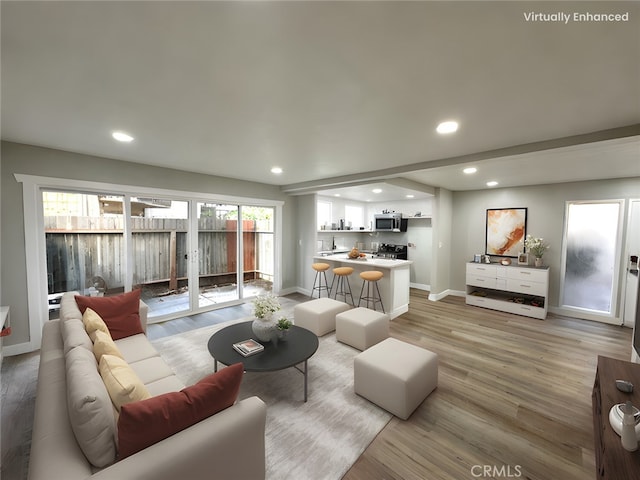 living room featuring light hardwood / wood-style floors