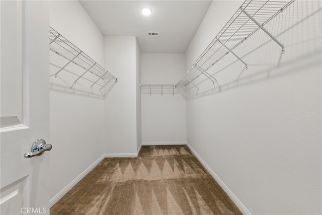 24583 Acadia Dr, Corona, CA 92883 - spacious closet with carpet flooring