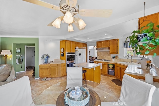 kitchen with a raised ceiling, sink, a center island, ceiling fan, and stainless steel appliances