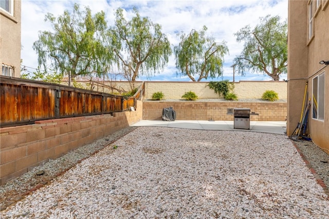 view of yard with a patio