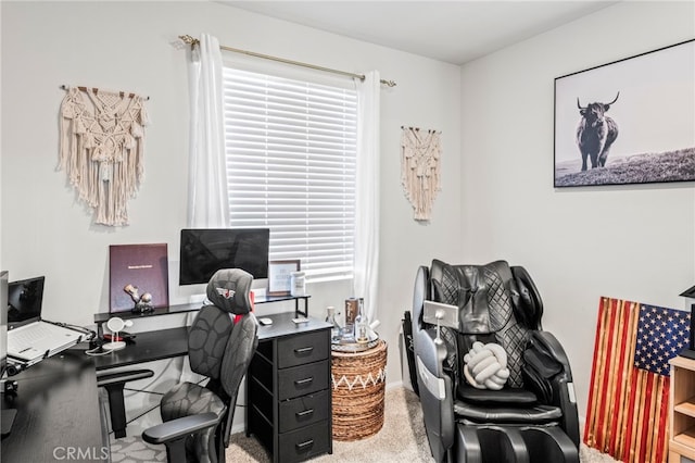 view of carpeted office space