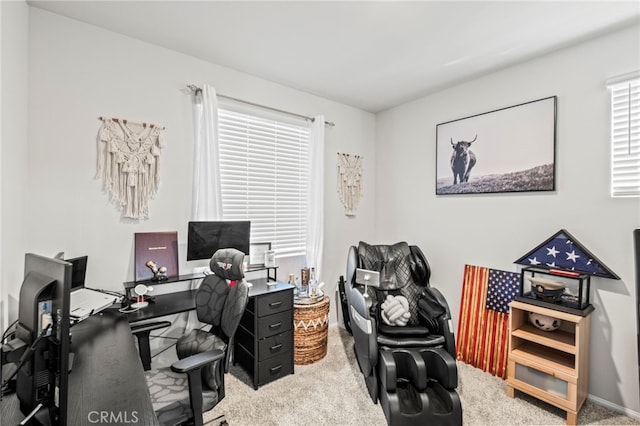 office with carpet floors