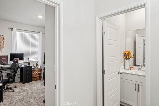 interior space with sink and light colored carpet