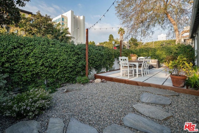 view of yard featuring a patio