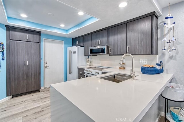 kitchen featuring sink, light hardwood / wood-style flooring, high quality appliances, a raised ceiling, and kitchen peninsula