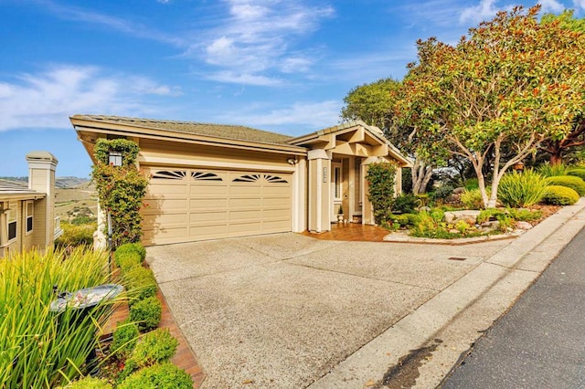 view of front facade featuring a garage