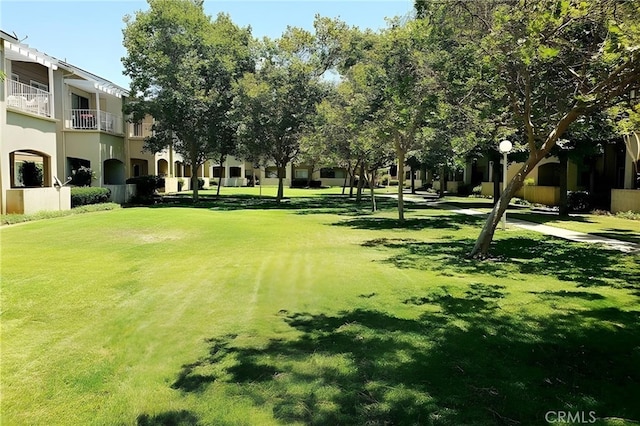 view of property's community featuring a lawn