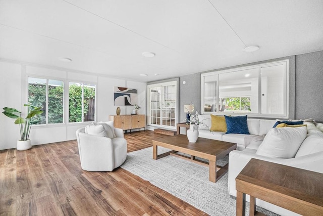 living room featuring hardwood / wood-style floors