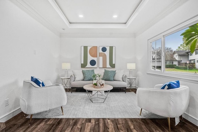 living room with hardwood / wood-style floors and a raised ceiling