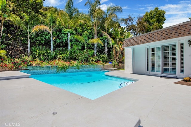 view of swimming pool with a patio