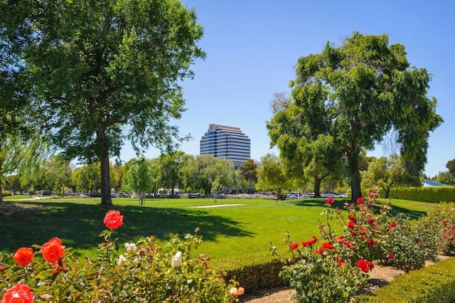 view of property's community featuring a lawn